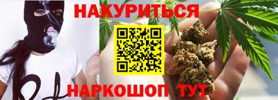 шишки Гай