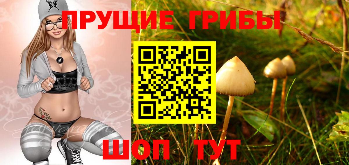 Большой Камень  Галлюциногенные грибы GOLDEN TEACHER  Вход с VPN 