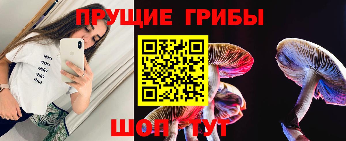 Псилоцибиновые грибы Psilocybine cubensis Большой Камень